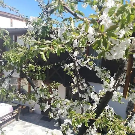 Διαμέρισμα студио в близост до църквата и центъра на града Μπάνσκο